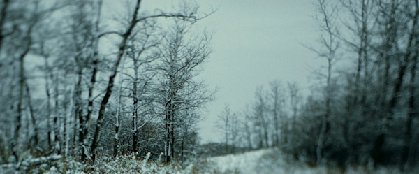 Asalto nocturno al tren en The Assassination of Jesse James by the Coward Robert Ford, fotografiado por Roger Deakins