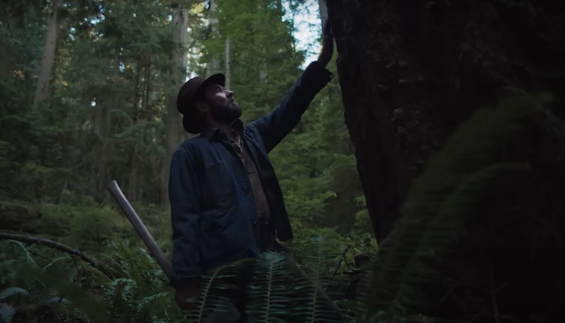 Fotograma de Train Dreams de época con composición sobria y luz natural de Adolpho Veloso