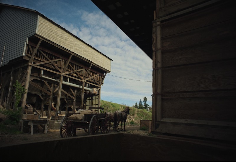 Fotograma de Train Dreams con iluminación de bajo nivel y estética orgánica