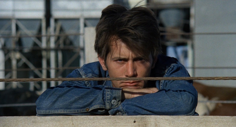 Martin Sheen en primer plano apoyado sobre una valla en Badlands (Malas Tierras), fotografiado por Brian Probyn, Tak Fujimoto y Stevan Larner