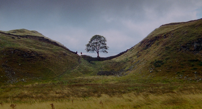 Robin Hood Prince of Thieves 1991 paisaje exterior con árbol solitario fotografiado por Doug Milsome en Agfa XT-320