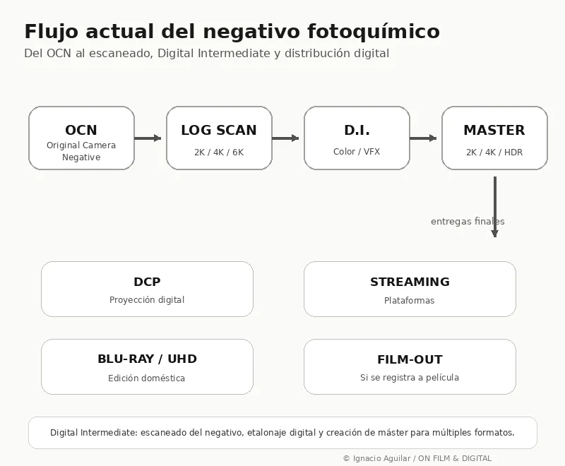 Flujo actual del negativo fotoquímico con revelado, escaneado, archivos LOG, Digital Intermediate, máster digital, DCP, streaming y archivo