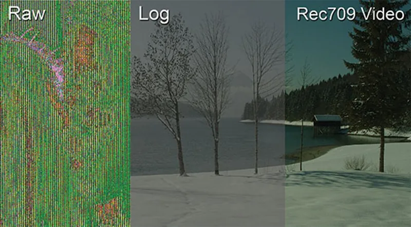 Etapas de imagen RAW, LOG y Rec.709 en el flujo digital de captura, debayer, revelado y visualización