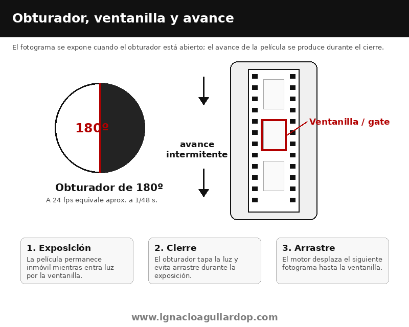 Esquema de obturador de 180 grados, ventanilla y avance intermitente en una cámara de cine de celuloide