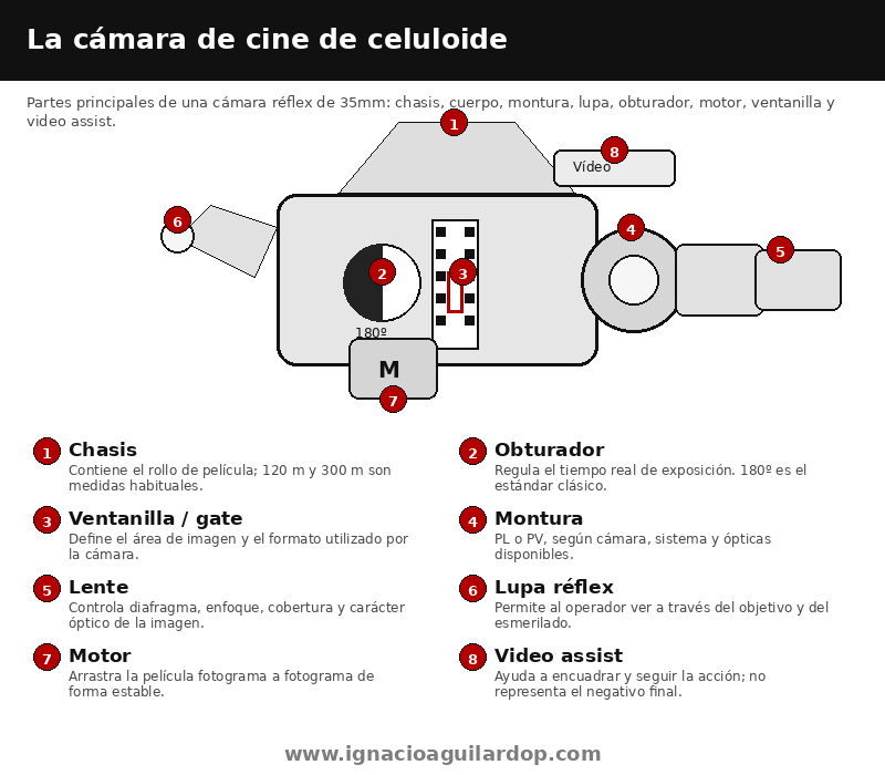 Partes principales de una cámara de cine de celuloide: cuerpo, montura, lupa réflex, ventanilla, obturador, motor, chasis y video assist