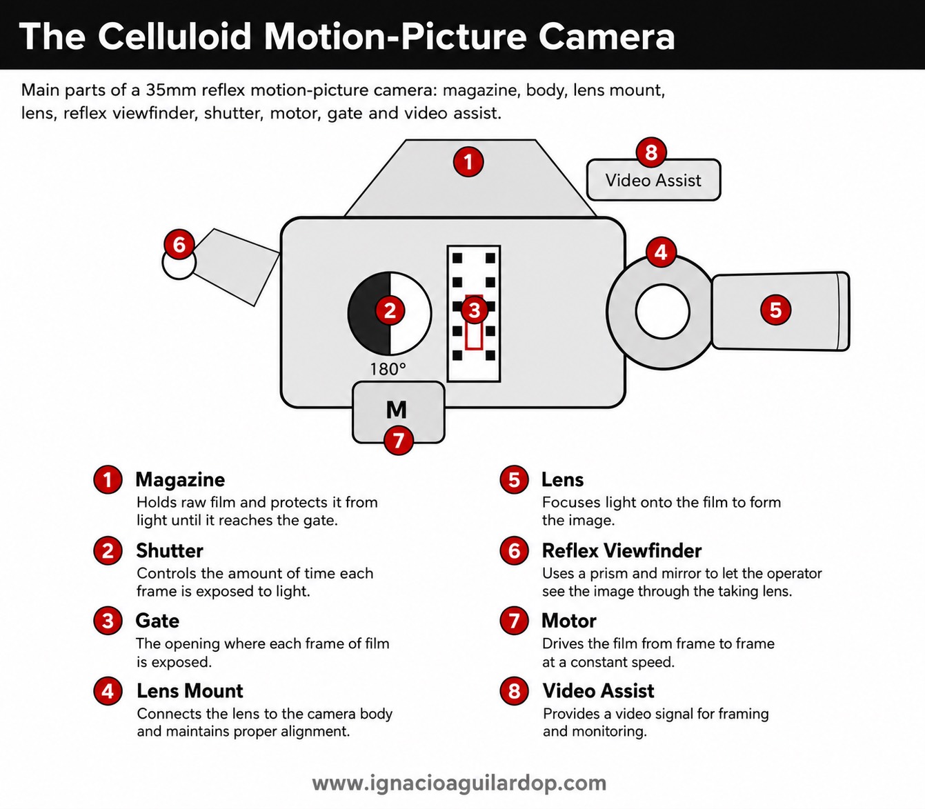 Main parts of a 35mm reflex motion-picture film camera: magazine, shutter, gate, lens mount, lens, reflex viewfinder, motor and video assist