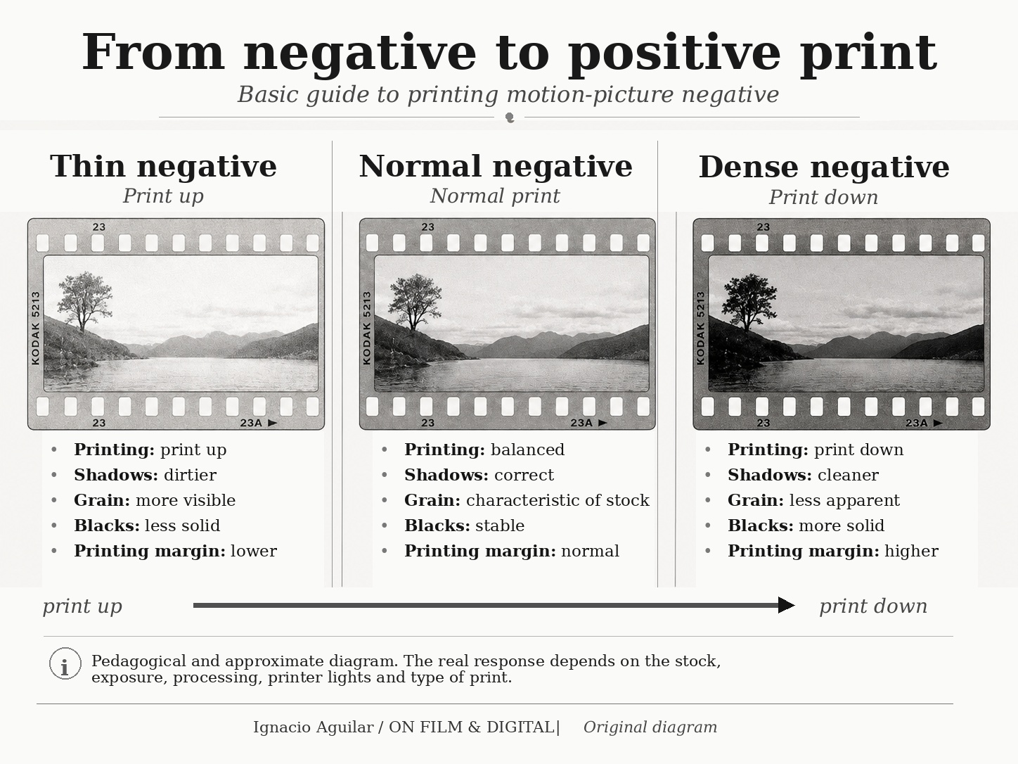The Motion Picture Negative (IV): Processing, Printing and Laboratory Processes