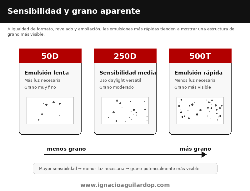Relación entre sensibilidad ASA de emulsiones cinematográficas y grano aparente en la imagen