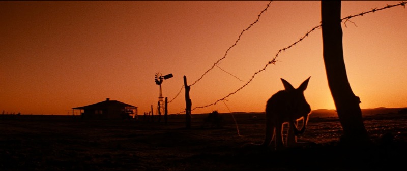 Razorback 1984 atardecer rojizo en el interior de Australia fotografiado por Dean Semler ASC ACS