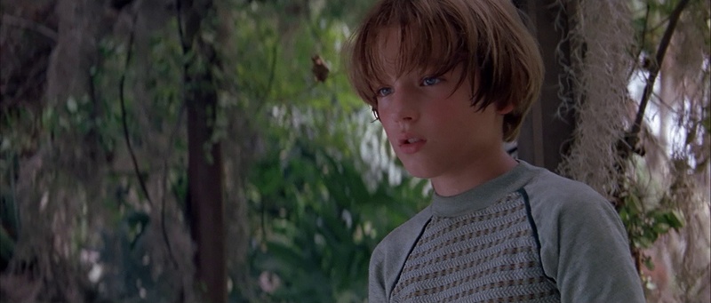 El joven Finn en Great Expectations, fotografiado por Emmanuel Lubezki con luz natural suave en Florida