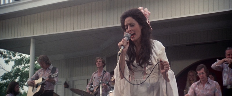 Actuación musical exterior en Nashville 1975, fotografiada por Paul Lohmann con zoom anamorfizado y luz disponible